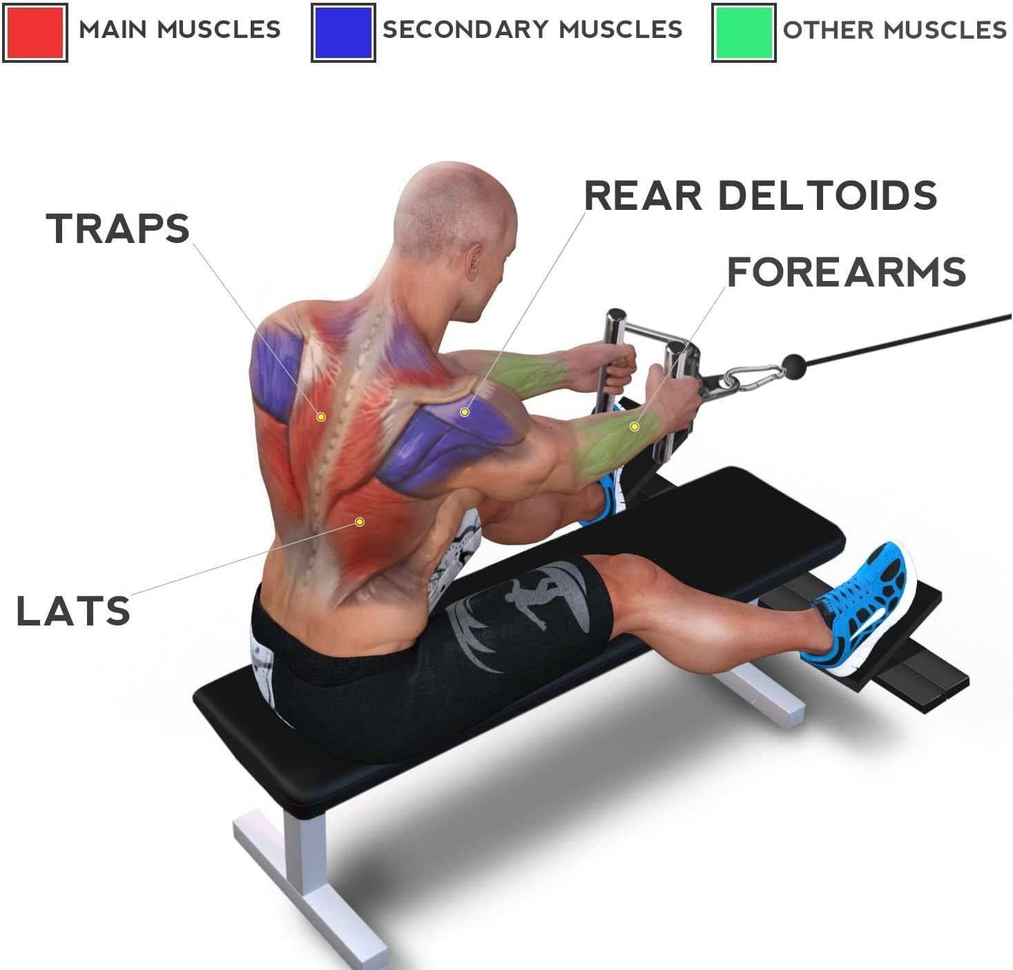 Double D Handle Cable Machine Attachments for Pulldown Exercises in Home Gyms